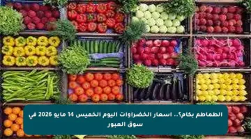الطماطم بكام؟.. أسعار الخضراوات اليوم الخميس 14 مايو 2026 في سوق العبور